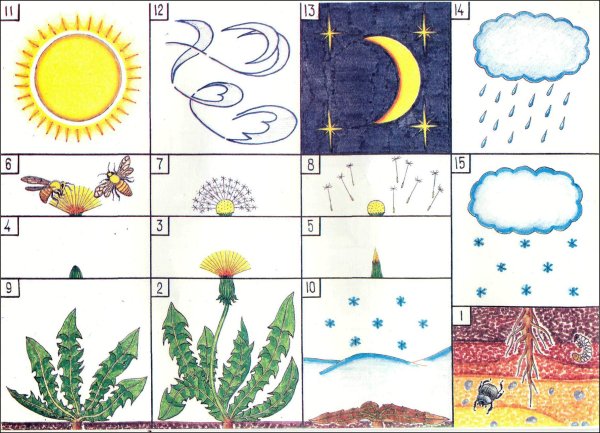 Мнемотаблицы цветы