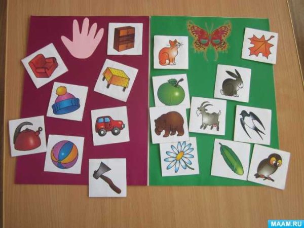 Дидактическая игра по природному и рукотворному миру