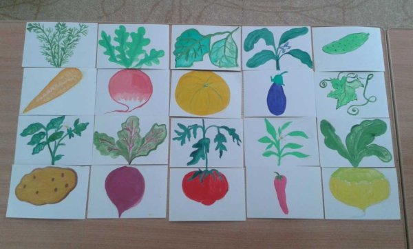 Дидактические игры по экологии в средней группе