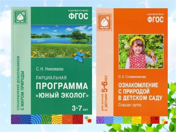 Николаева Светлана Николаевна Юный эколог