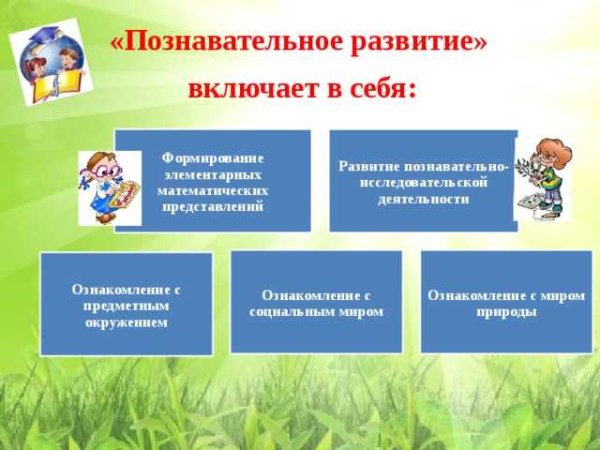 Что относится к познавательному развитию в детском саду по ФГОС