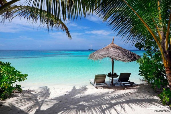 Gangehi Island Resort 5*