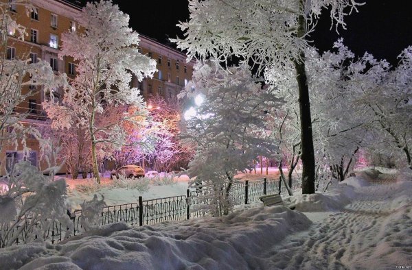 Снежная зима в городе