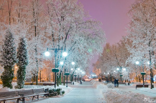 Зима в городе