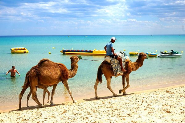 Красивый Тунис