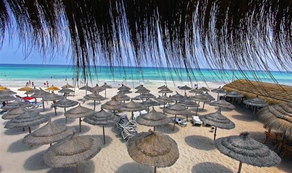 Отель Тунис Джерба Джоя Парадайз