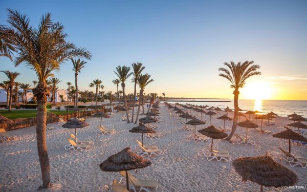 Алладин Бич Тунис