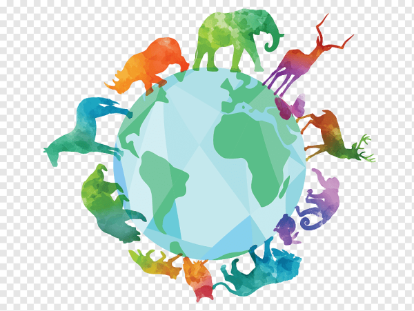 День биоразнообразия