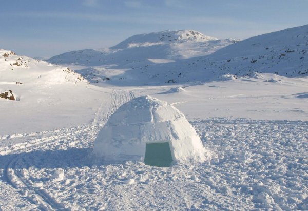 Igloo Igloo