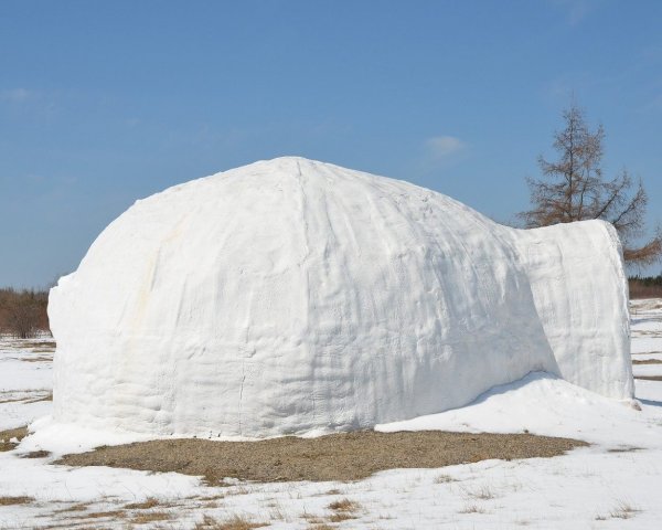 Igloo Igloo