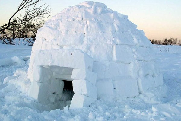 Иглу из снега
