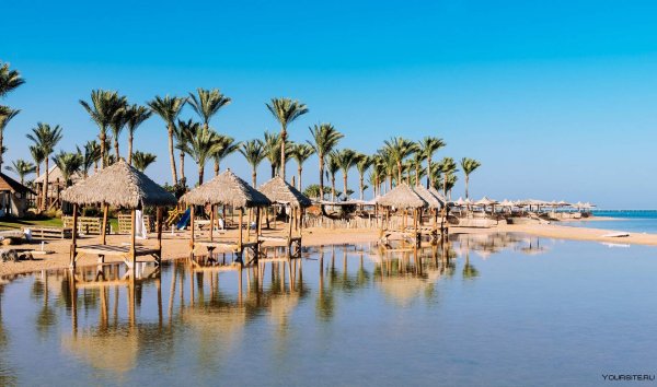 Шарм-Эль-Шейх топ