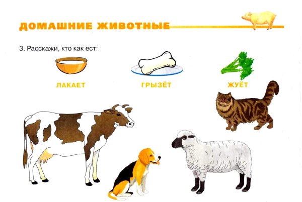 Занятие домашние животные