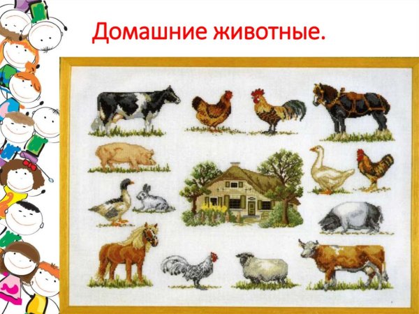Семьи домашних животных