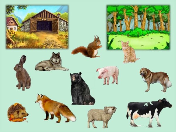 Домашние и Дикие животные для детей