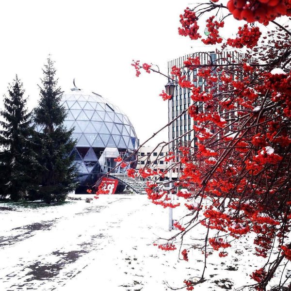 Заснеженный Новосибирск