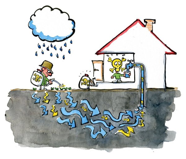 Цепь загрязнения воды