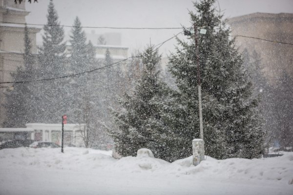 Метель Новосибирск