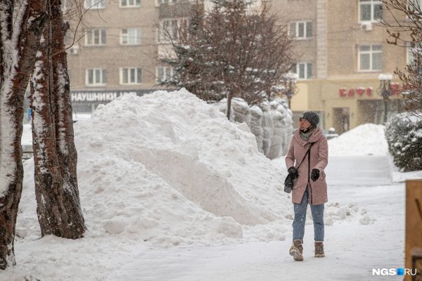 Снежный Новосибирск