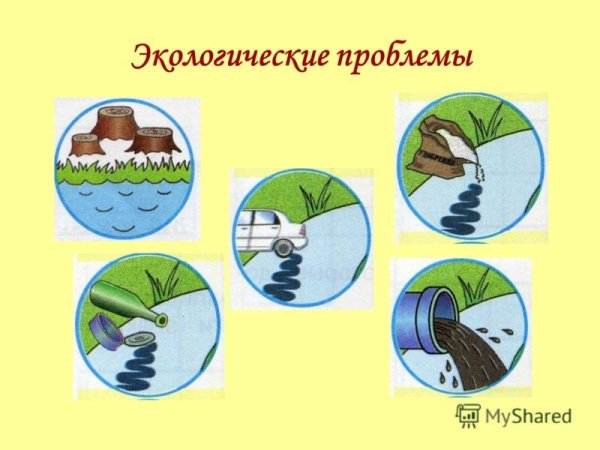 Экологические знаки охраны воды
