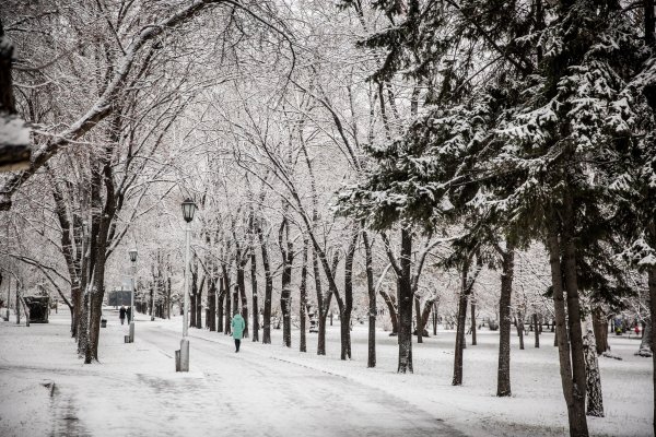 Заснеженный Новосибирск