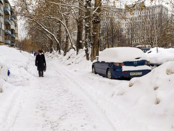 Новосибирск завалило снегом