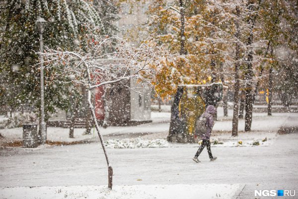 Ноябрь в городе