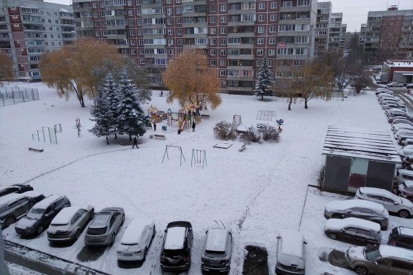 В Новосибирске выпал снег