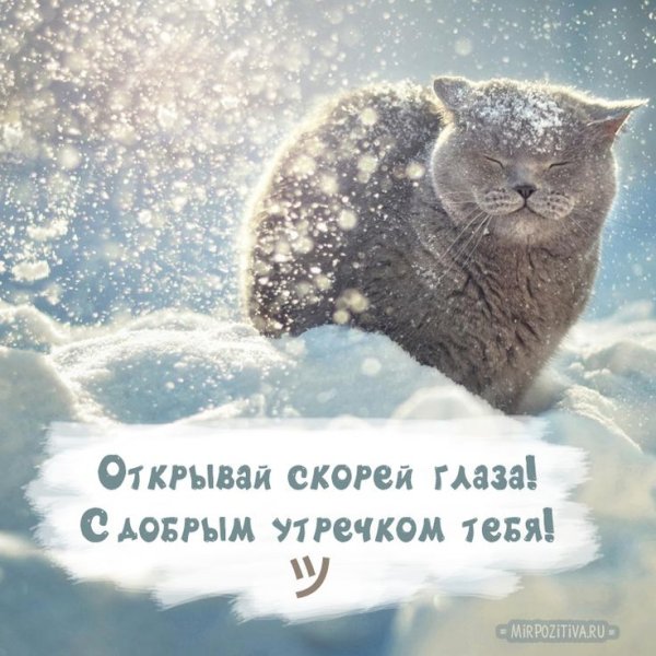 Доброе утро зимнее прикольное