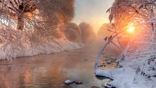 Зимний рассвет