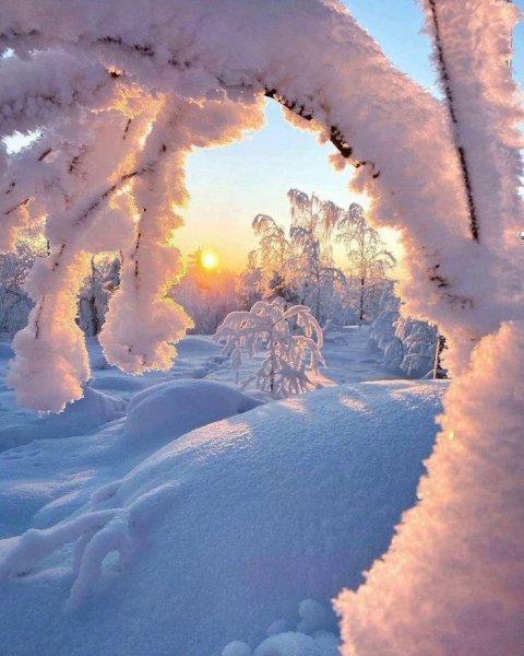 Морозный день