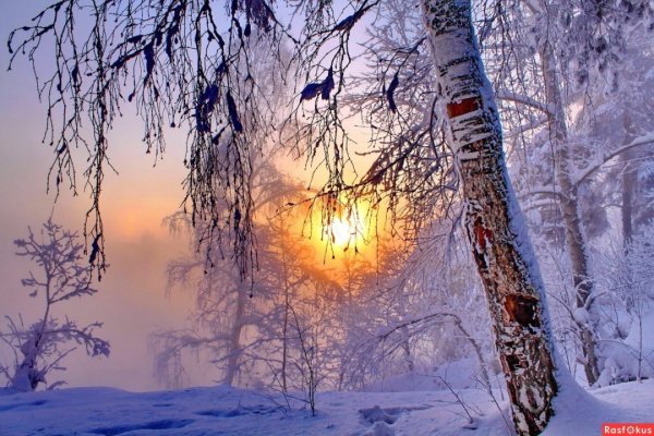 Февральский пейзаж