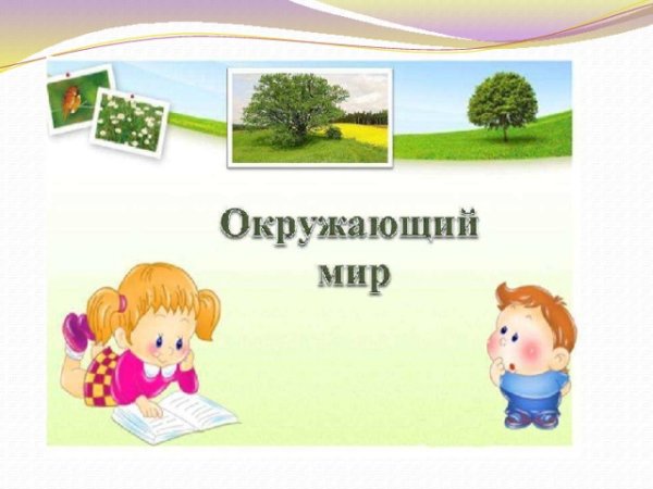 Окружающий мир