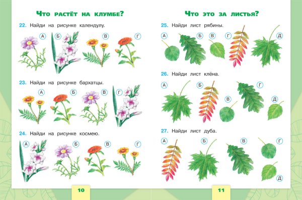 Задания по окружающему миру 1 класс