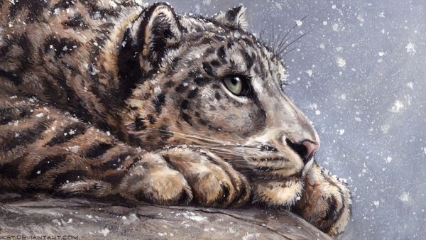 Снежный Барс красивый арт