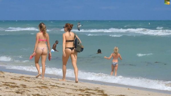 Дикий пляж Майами