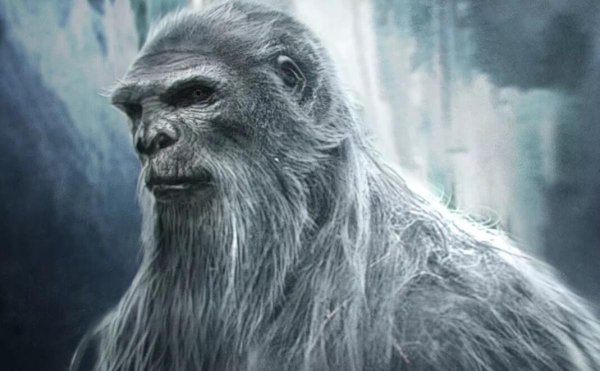 Йети снежный