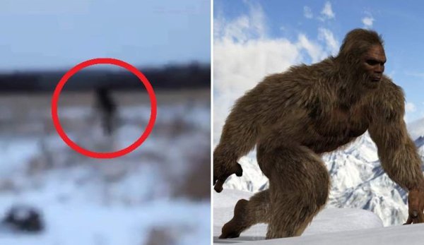 Етти снежный человек в России