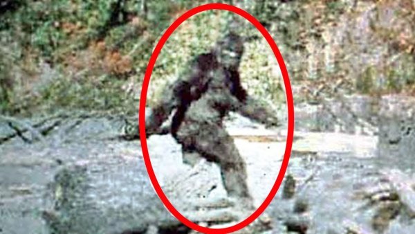 Йети снежный человек реальные снимки