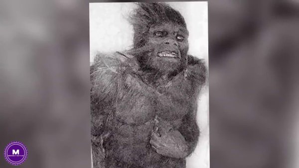 Гигантский снежный человек