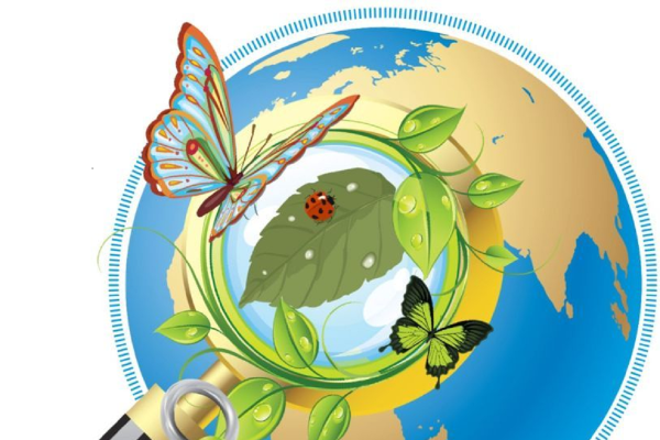 Экология для дошкольников