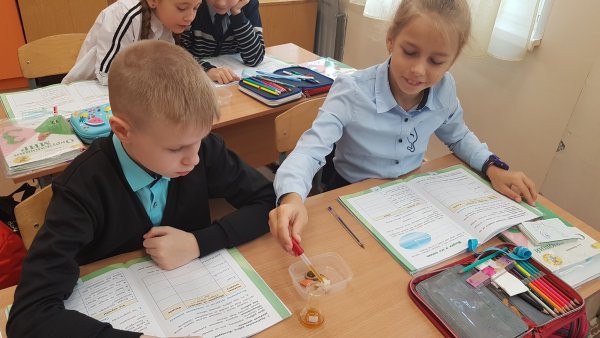 Урок окружающего мира