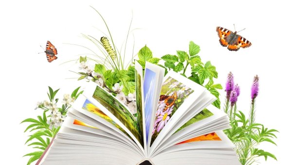 День экологических знаний