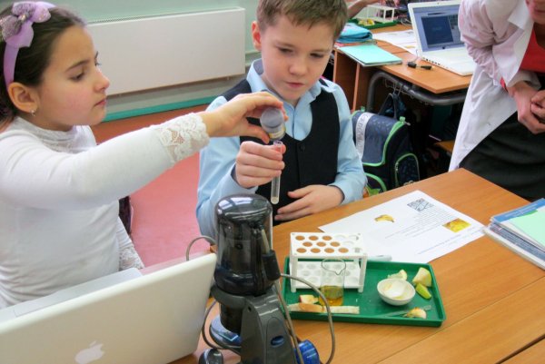 Эксперименты для детей начальной школы