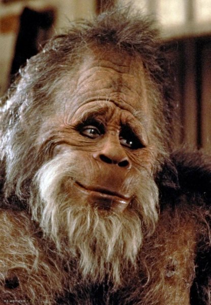 Гарри и Хендерсоны