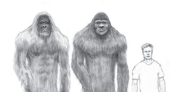 Гигантопитек Йети