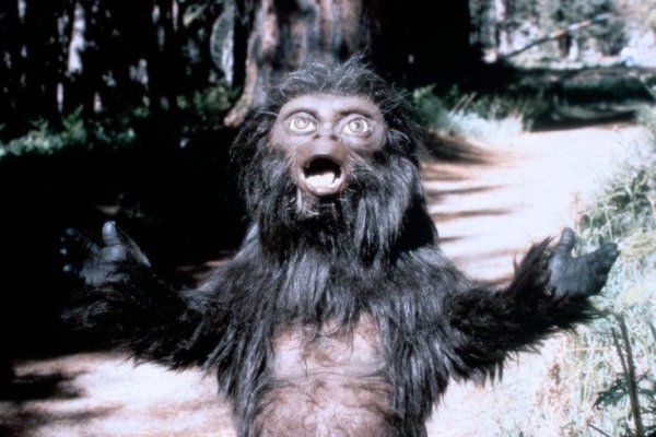 Бигфут чудовище