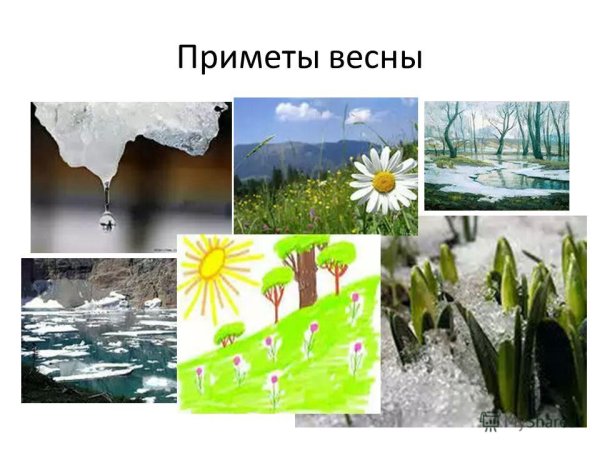 Приметы весны