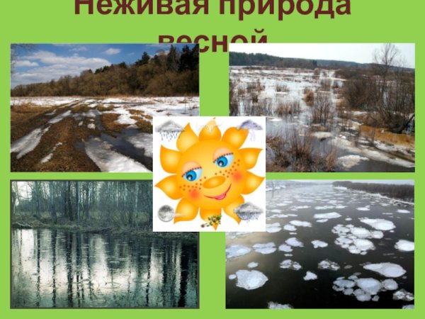 Неживая природа весной