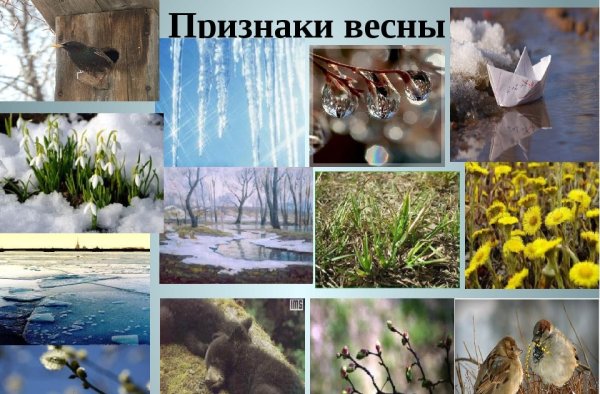 Весна изменения в природе